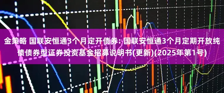 金策略 国联安恒通3个月定开债券: 国联安恒通3个月定期开放纯债债券型证券投资基金招募说明书(更新)(2025年第1号)