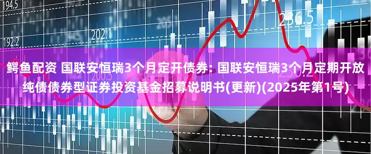 鳄鱼配资 国联安恒瑞3个月定开债券: 国联安恒瑞3个月定期开放纯债债券型证券投资基金招募说明书(更新)(2025年第1号)