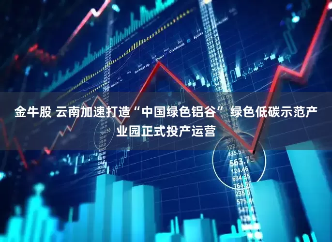 金牛股 云南加速打造“中国绿色铝谷” 绿色低碳示范产业园正式投产运营