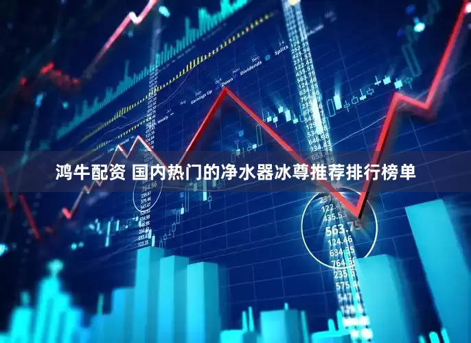 鸿牛配资 国内热门的净水器冰尊推荐排行榜单
