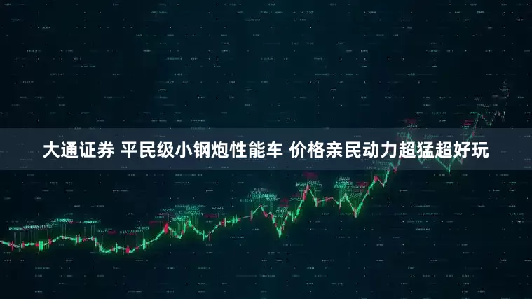 大通证券 平民级小钢炮性能车 价格亲民动力超猛超好玩